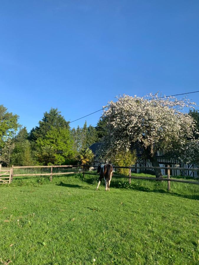 Gite Le Bonheur Est Dans Le Pre Saint-Pierre-Des-Ifs  Exterior foto