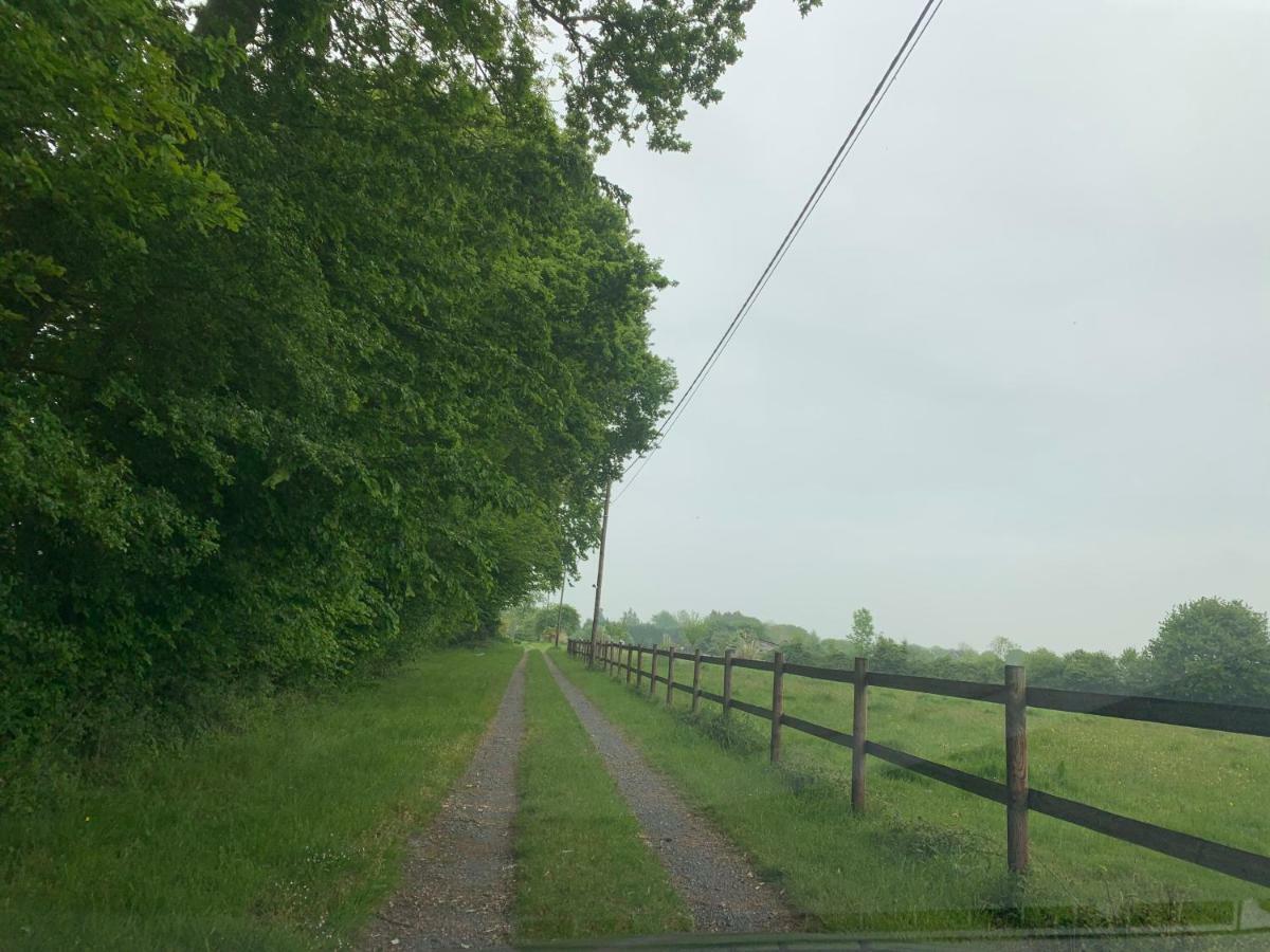 Gite Le Bonheur Est Dans Le Pre Saint-Pierre-Des-Ifs  Exterior foto